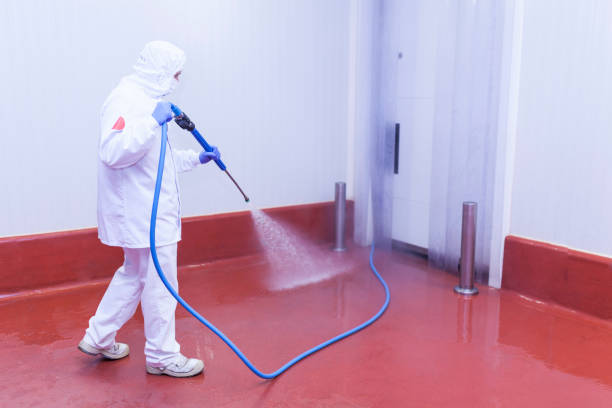 Best Paint Preparation  in County Center, VA